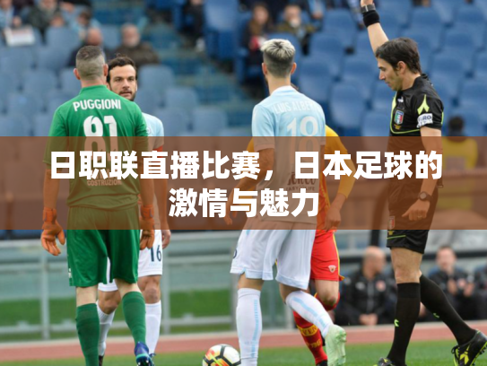 日职联直播比赛，日本足球的激情与魅力