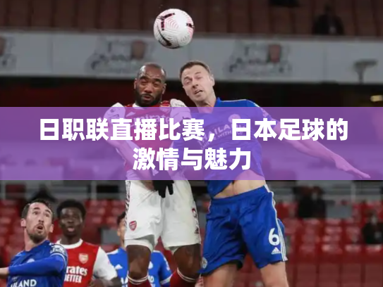 日职联直播比赛，日本足球的激情与魅力