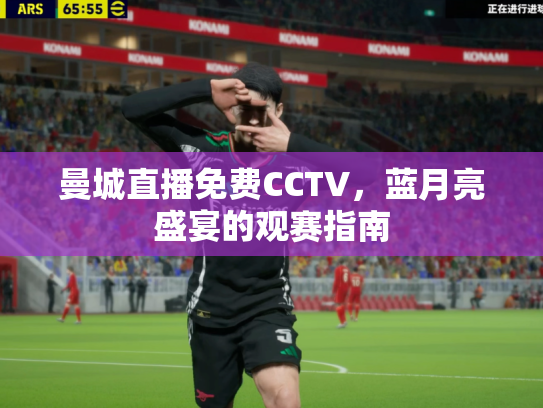 曼城直播免费CCTV，蓝月亮盛宴的观赛指南