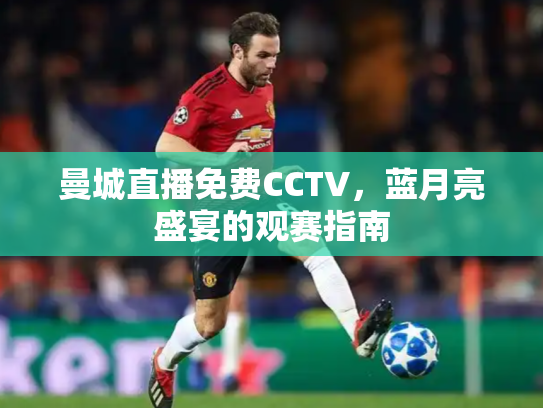 曼城直播免费CCTV，蓝月亮盛宴的观赛指南