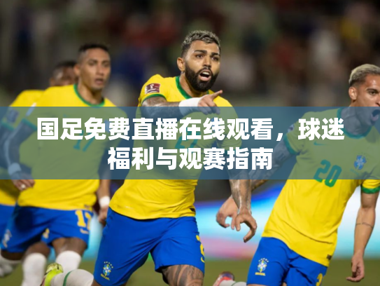 国足免费直播在线观看，球迷福利与观赛指南