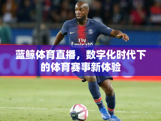 蓝鲸体育直播，数字化时代下的体育赛事新体验