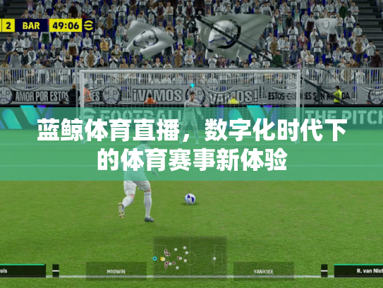 蓝鲸体育直播，数字化时代下的体育赛事新体验