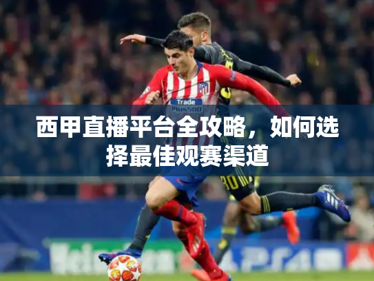 西甲直播平台全攻略，如何选择最佳观赛渠道