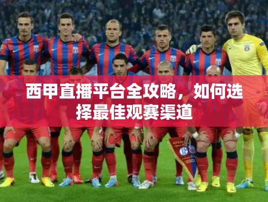 西甲直播平台全攻略，如何选择最佳观赛渠道