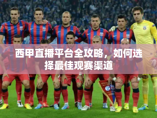 西甲直播平台全攻略，如何选择最佳观赛渠道