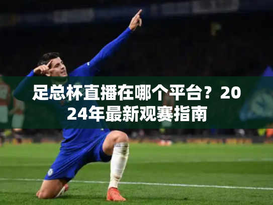 足总杯直播在哪个平台？2024年最新观赛指南