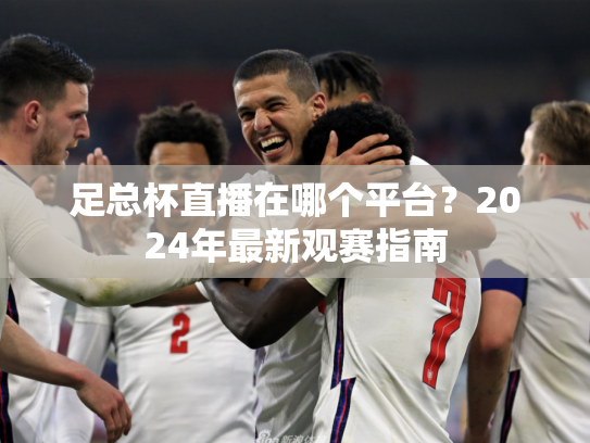 足总杯直播在哪个平台？2024年最新观赛指南
