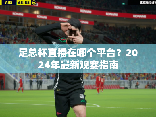 足总杯直播在哪个平台？2024年最新观赛指南