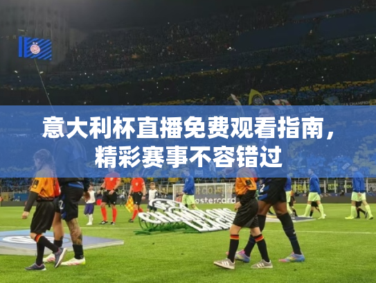 意大利杯直播免费观看指南，精彩赛事不容错过