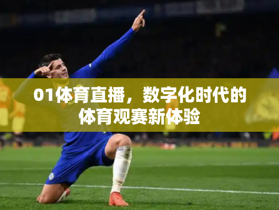 01体育直播，数字化时代的体育观赛新体验