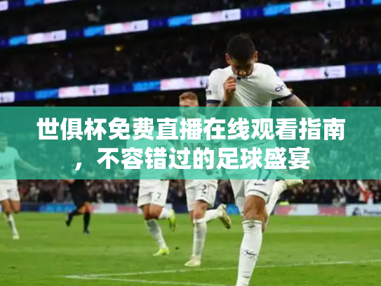 世俱杯免费直播在线观看指南，不容错过的足球盛宴