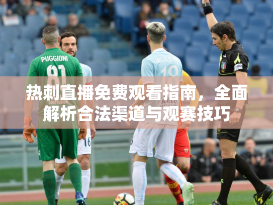 热刺直播免费观看指南，全面解析合法渠道与观赛技巧