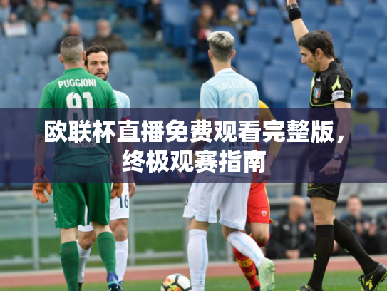 欧联杯直播免费观看完整版，终极观赛指南