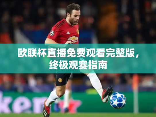 欧联杯直播免费观看完整版，终极观赛指南