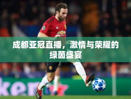 成都亚冠直播，激情与荣耀的绿茵盛宴