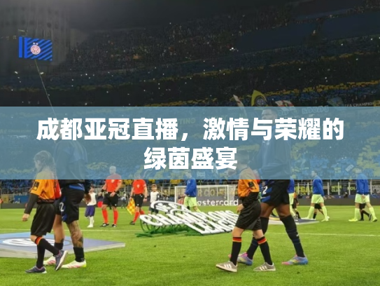 成都亚冠直播，激情与荣耀的绿茵盛宴