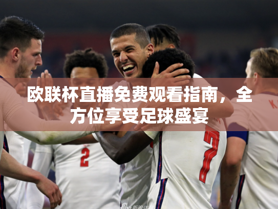 欧联杯直播免费观看指南，全方位享受足球盛宴