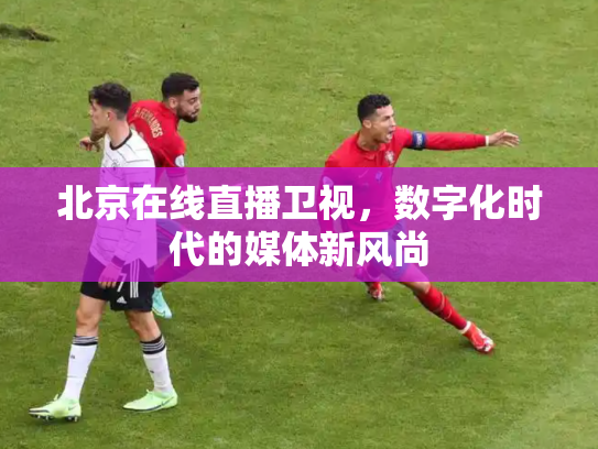 北京在线直播卫视，数字化时代的媒体新风尚