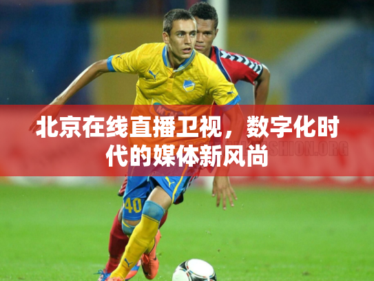 北京在线直播卫视，数字化时代的媒体新风尚