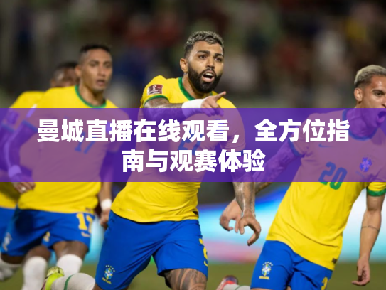 曼城直播在线观看，全方位指南与观赛体验