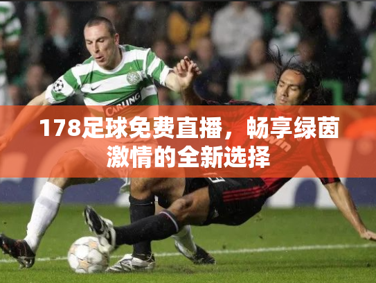 178足球免费直播，畅享绿茵激情的全新选择