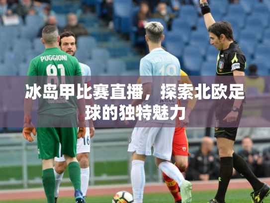 冰岛甲比赛直播，探索北欧足球的独特魅力