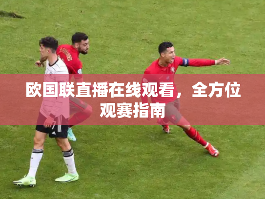 欧国联直播在线观看，全方位观赛指南