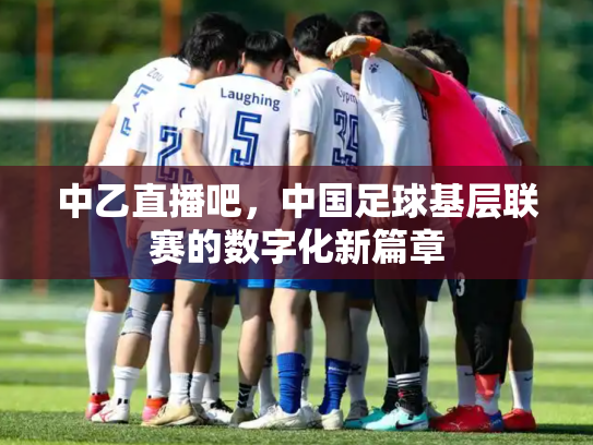 中乙直播吧，中国足球基层联赛的数字化新篇章