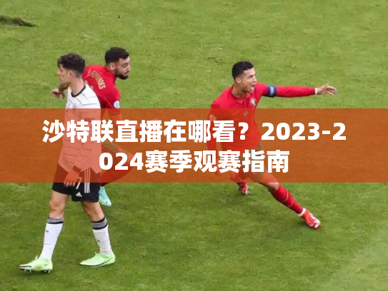 沙特联直播在哪看？2023-2024赛季观赛指南