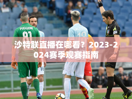 沙特联直播在哪看？2023-2024赛季观赛指南