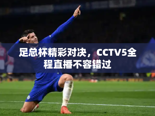 足总杯精彩对决，CCTV5全程直播不容错过