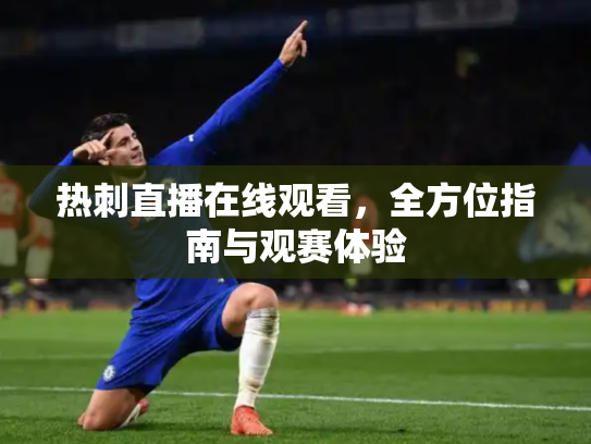 热刺直播在线观看，全方位指南与观赛体验