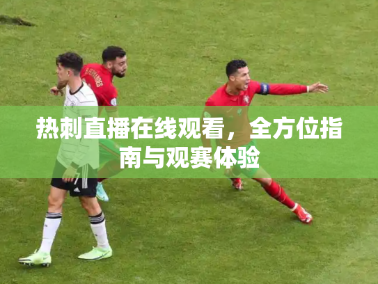 热刺直播在线观看，全方位指南与观赛体验