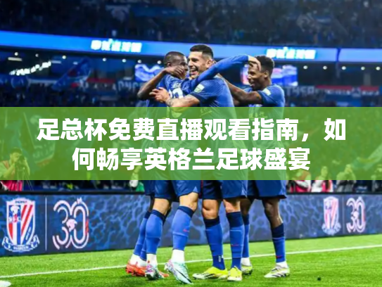 足总杯免费直播观看指南，如何畅享英格兰足球盛宴