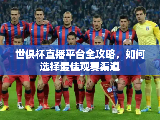 世俱杯直播平台全攻略，如何选择最佳观赛渠道