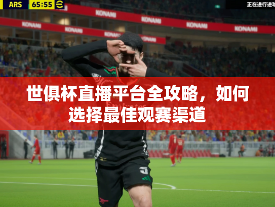 世俱杯直播平台全攻略，如何选择最佳观赛渠道