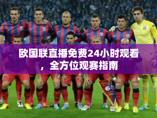 欧国联直播免费24小时观看，全方位观赛指南