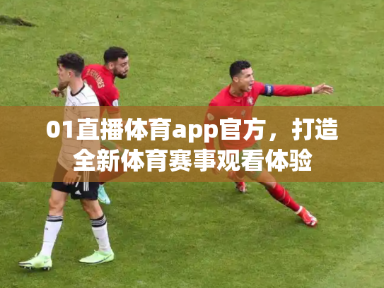 01直播体育app官方，打造全新体育赛事观看体验