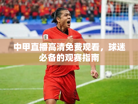 中甲直播高清免费观看，球迷必备的观赛指南