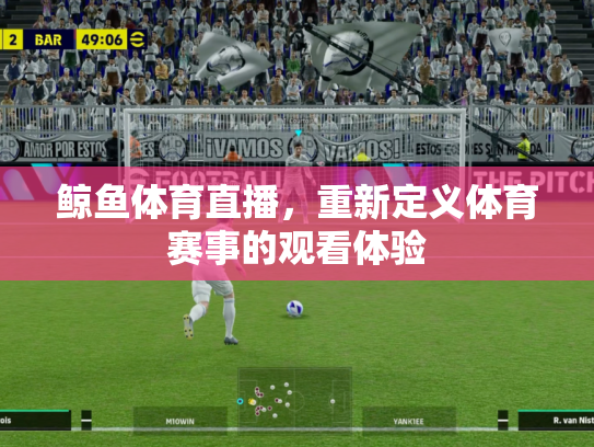 鲸鱼体育直播，重新定义体育赛事的观看体验