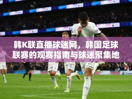韩K联直播球迷网，韩国足球联赛的观赛指南与球迷聚集地