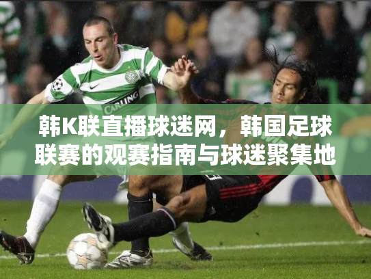 韩K联直播球迷网，韩国足球联赛的观赛指南与球迷聚集地