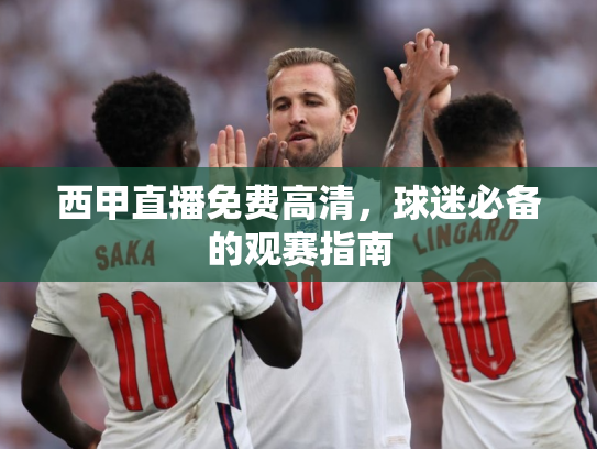 西甲直播免费高清，球迷必备的观赛指南