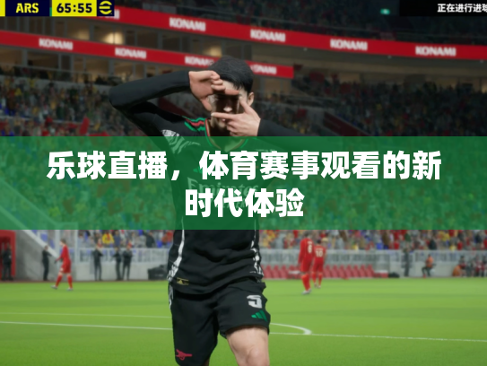 乐球直播，体育赛事观看的新时代体验