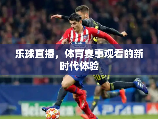 乐球直播，体育赛事观看的新时代体验