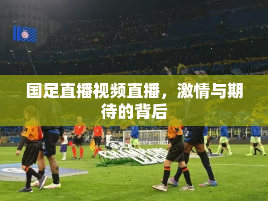 国足直播视频直播，激情与期待的背后