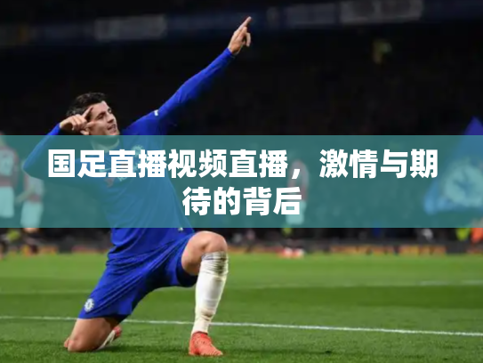 国足直播视频直播，激情与期待的背后