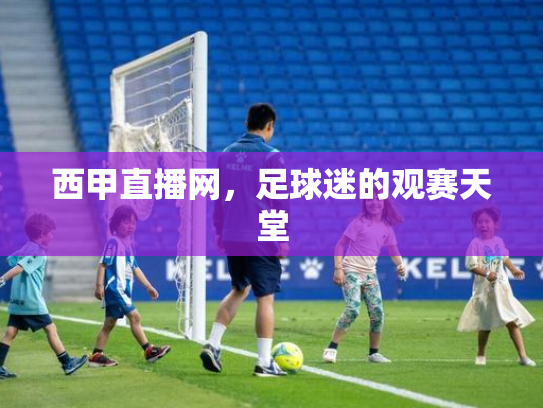 西甲直播网，足球迷的观赛天堂
