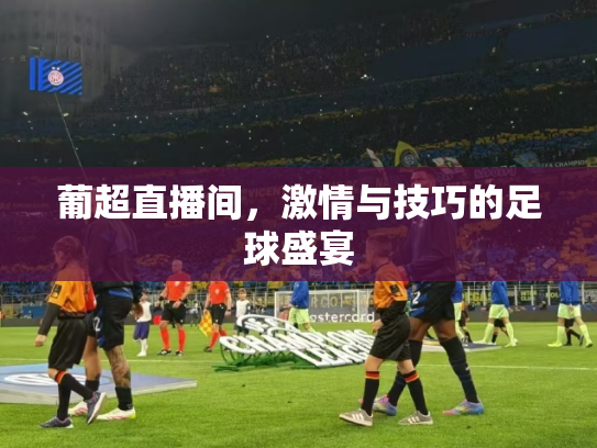葡超直播间，激情与技巧的足球盛宴